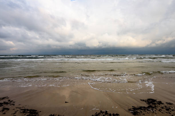 istock View of a stormy beach in the morning. 835525558