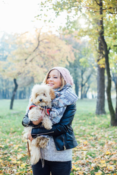 istock I love my fluffy dog so much 835527628