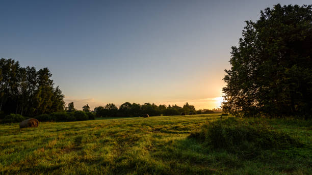 istock countryside fields in summer with rolls of hay 835530296