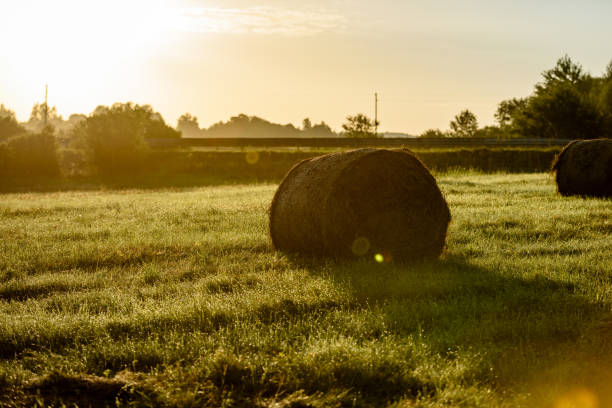 istock countryside fields in summer with rolls of hay 835530348