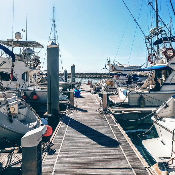 istock Yachts on the mooring. 835541298