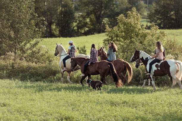 Limousin region, France-08 23 2021:Group of young riders and their horses in the rural France.