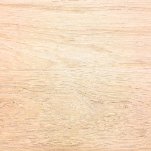 istock Light wood texture background surface with old natural pattern or old wood texture table top view. Grain surface with wood texture background. Organic timber texture background. Rustic table top view. 835557592
