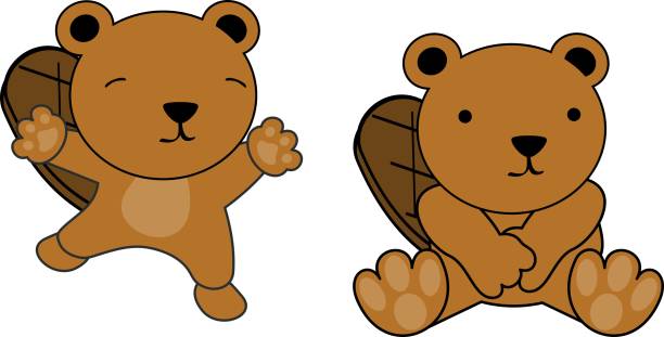 sweet baby beaver cartoon set sweet baby beaver cartoon set in vector format very easy to edit clip art of baby beaver stock illustrations