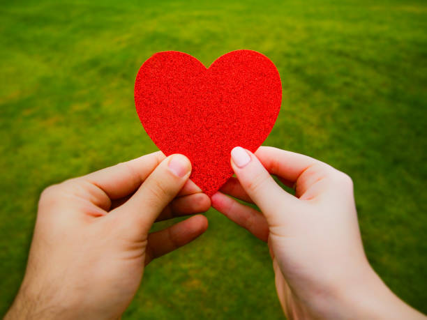 istock Young couple hands holding red heart 835562240