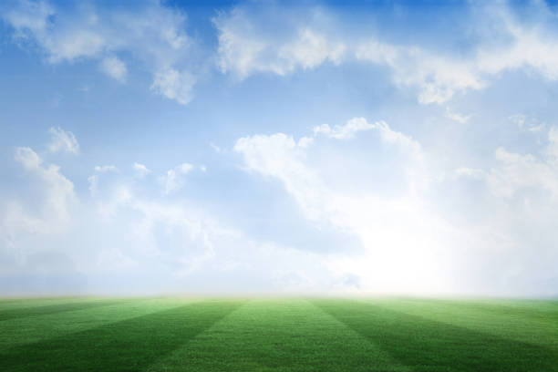 istock Football pitch under blue sky 835569862