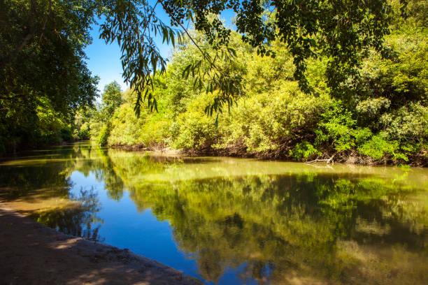 istock Beautiful summer landscape with a river view 835580222