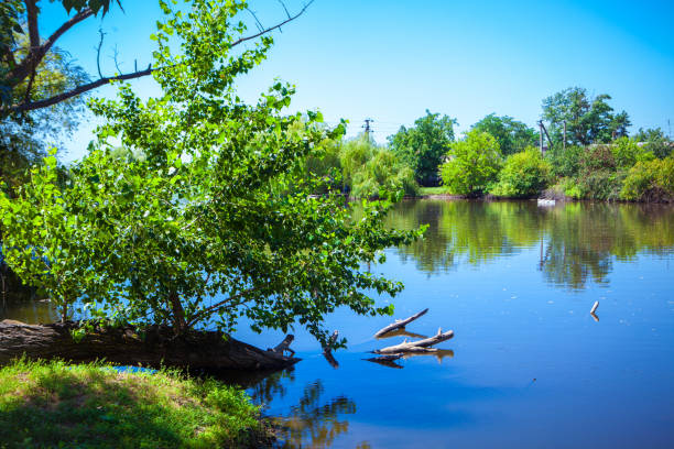 istock Beautiful summer landscape with a river view 835580580
