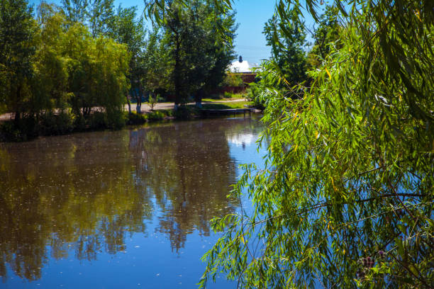 istock Beautiful summer landscape with a river view 835583330