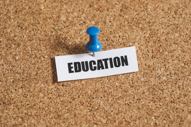 istock Education single word on bulletin board 835584072