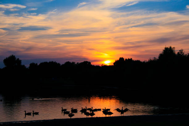 istock Sunset at Gat van Roelofs, Zutphen. 835584144