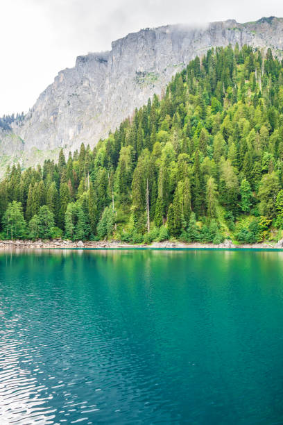 istock Lake in the mountains 835590382