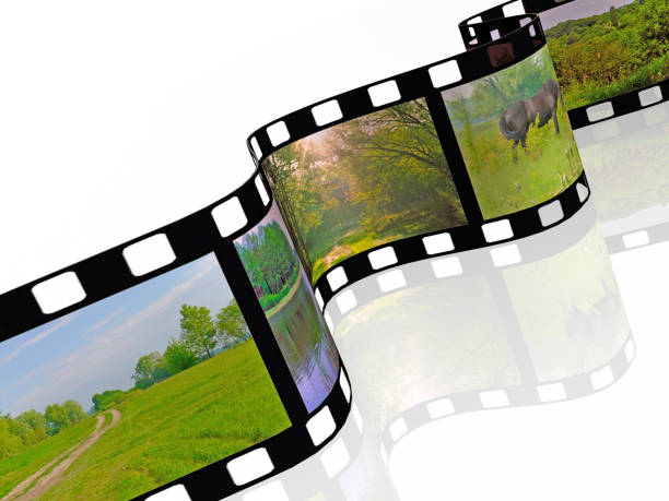 istock Film roll with color pictures 835615192