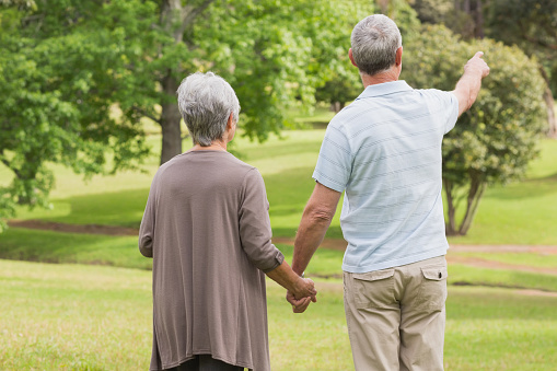 Rear view of a senior man and woman holding hands at the park