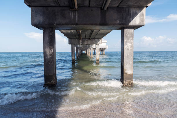 istock Supports fishing pier 835651732