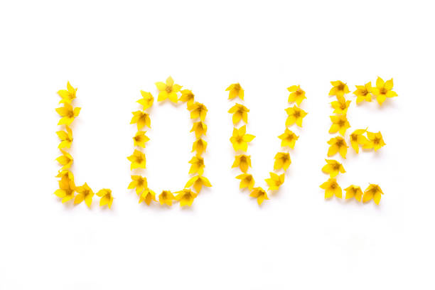 istock Word LOVE written with yellow flowers 835677248