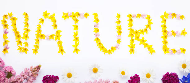 istock Word  NATURE written with garden flowers 835677710