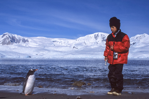 Young latino boy on antarctica beach looking at curious nearby wild gentoo penguin, who walked up to boy,  In backgriund across harbor are snow covered mountain peaks.