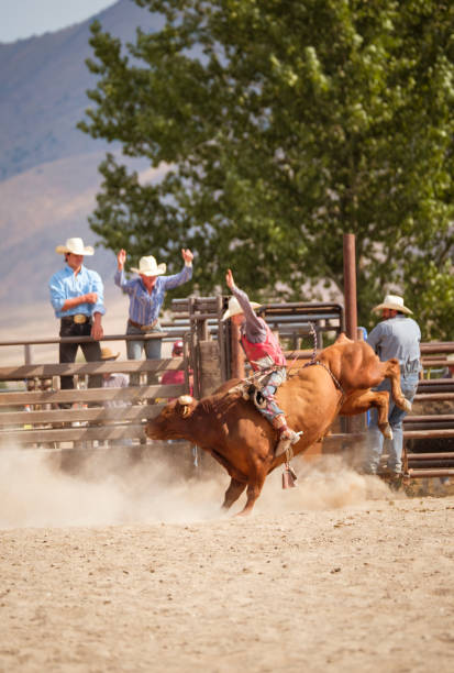 istock Bull Rider At A Small Town Rodeo 835703470