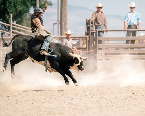 istock Bull Rider At A Small Town Rodeo 835703476