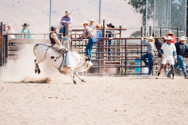 istock Bull Rider At A Small Town Rodeo 835703596