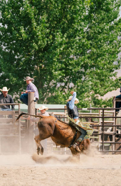 istock Bull Rider At A Small Town Rodeo 835703598