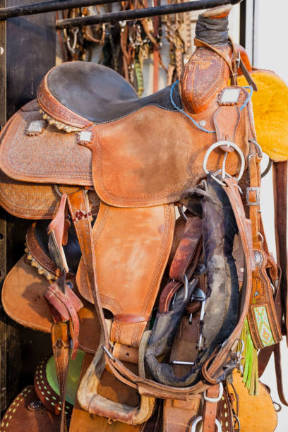 istock Saddles And Horse Tack In A Trailer 835705474