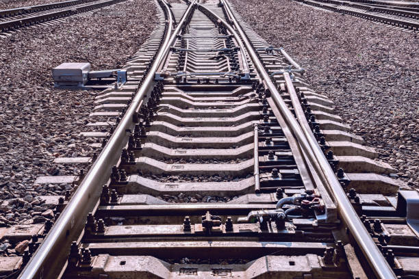vías de tren en el atardecer. - railroad spikes fotografías e imágenes de stock