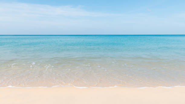 istock Beautiful tropical beach and sea landscape with blue sky 835727406