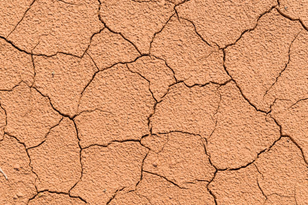 istock Ground soil texture dry dirt land with rock 835727542