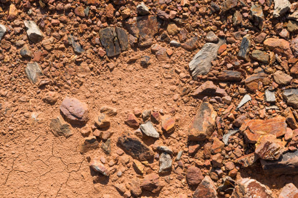 istock Soil texture, brown ground soil texture mixed with small rocks 835727608