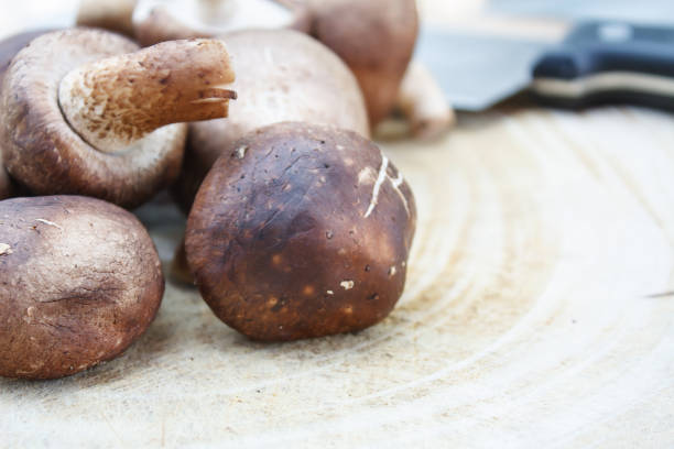istock shiitake mushrooms on a wooden cutting board 835729924