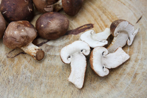 istock shiitake mushrooms on a wooden cutting board 835729948