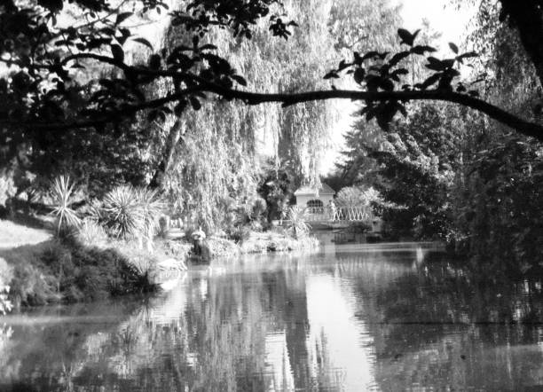 istock Adler Southern Culture Park  1971 835743440