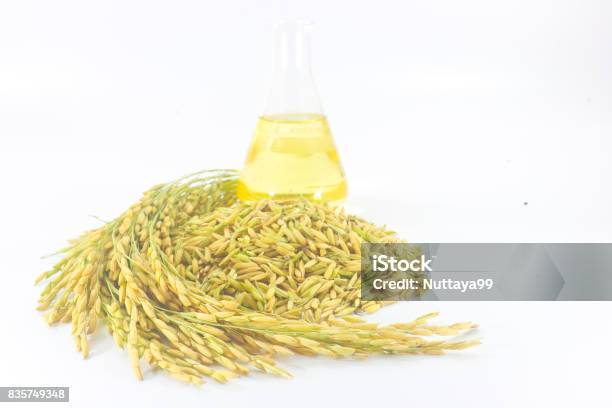 Arroz Aceite De Salvado Foto de stock y más banco de imágenes de Aceite para cocinar - Aceite para cocinar, Arroz - Grano, Agricultor