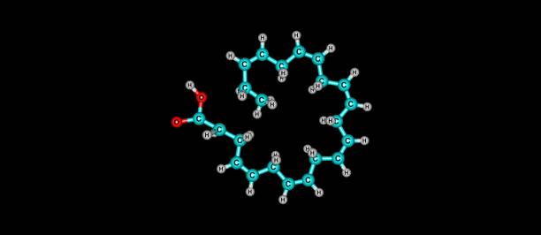 Docosahexaenoic acid molecular structure isolated on white stock photo