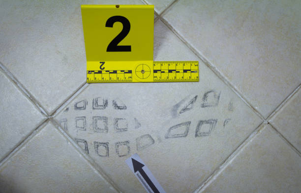 Footprint found on tile in the bathroom at the crime scene The criminal killed his victim in the bathroom criminal investigation photos stock pictures, royalty-free photos & images