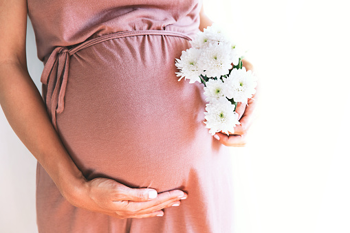 Pregnant woman with chrysanthemums flowers holds hands on belly at white background. Pregnancy, parenthood, preparation and expectation concept. Close-up, copy space, indoors.