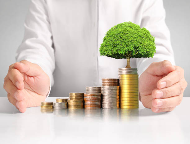 istock Hand human hand putting coin to money 835761440