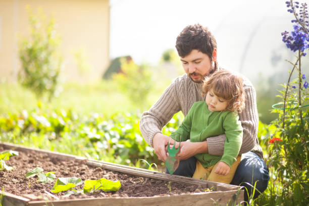 istock Father and daughter working together in the garden 835764148