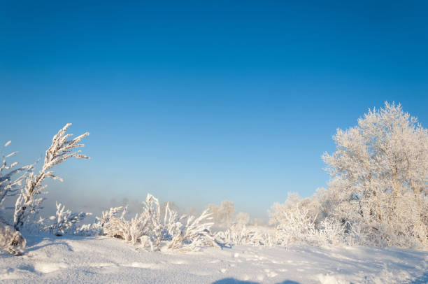 winter, winter-tide, winter-time,  hibernate, he coldest season of the year, in the northern hemisphere from December to February and in the southern hemisphere from June to August.