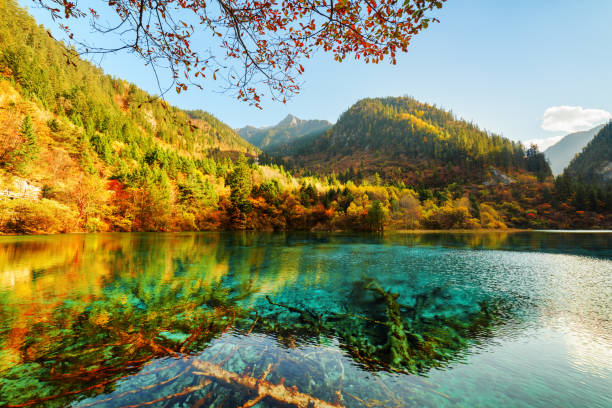 istock Fantastic view of the Five Flower Lake among beautiful mountains 835772480