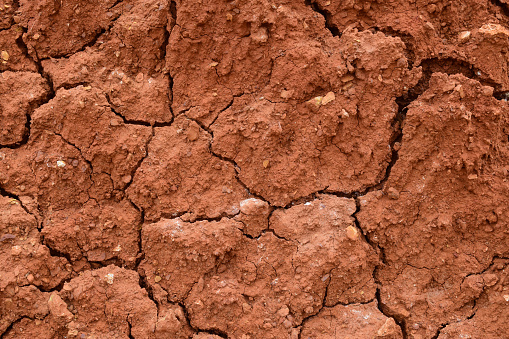 Dry cracked soil texture background. Arid red clay desert. Illustration for news about climate changes.