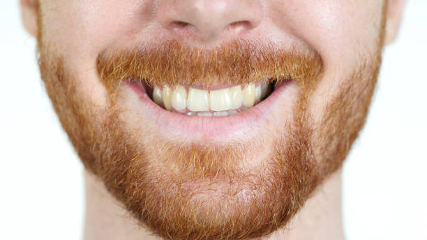 istock Detailed image of Young Man smiling with perfect white teeth 835779998