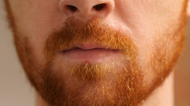 istock Lips Close-up of Red Hair Beard Man 835780724