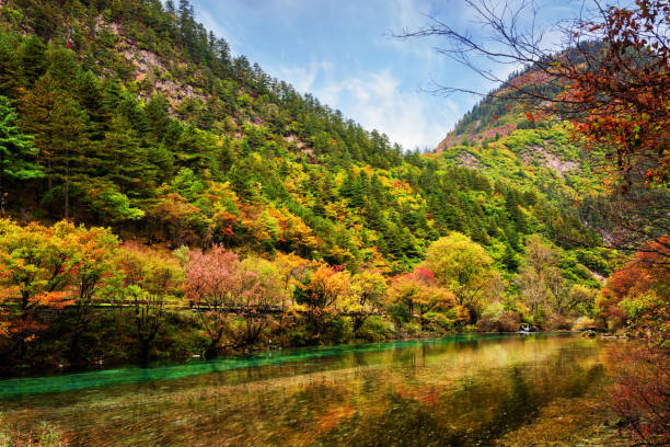 istock Beautiful river with crystal clear water among fall woods 835783112
