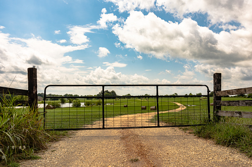 Metal gate closed on a dirt road leading into a field. Farm pond and round hay bales are visible in the background.