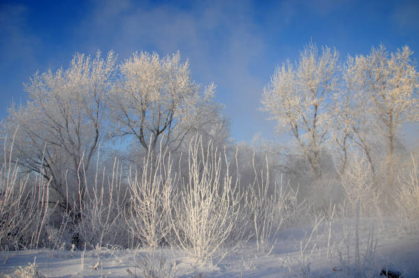 istock winter, winter-tide, winter-time 835790372
