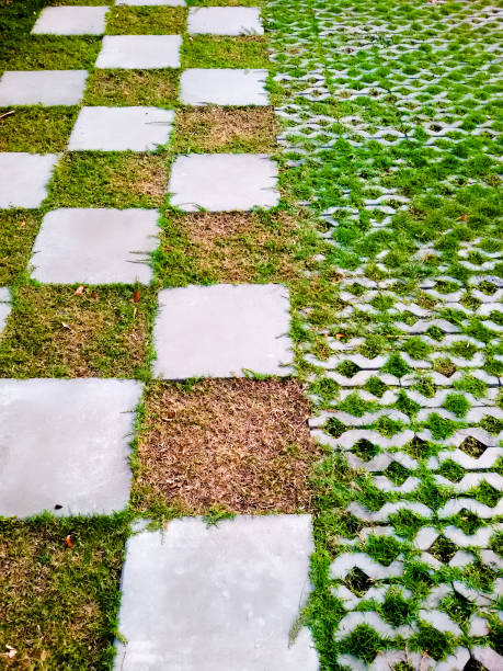 istock Nicely decorated garden with stones and plants (home) 835790634
