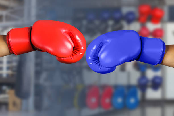 istock Red and Blue boxing gloves 835790910